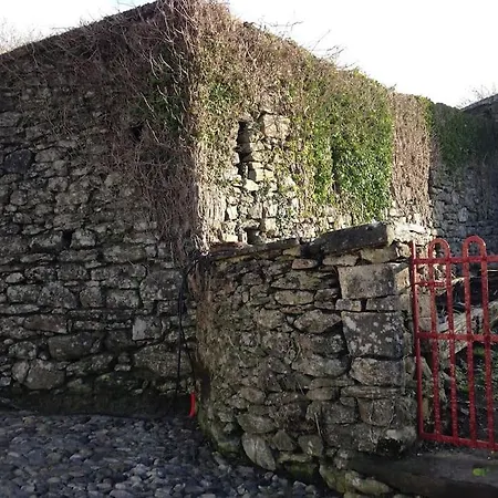 펜션 Fermoyle Carleys *