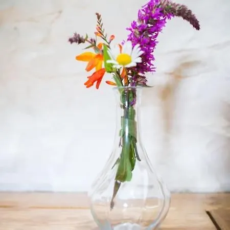 Fermoyle Carleys Holiday home