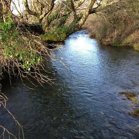 Fermoyle Carleys