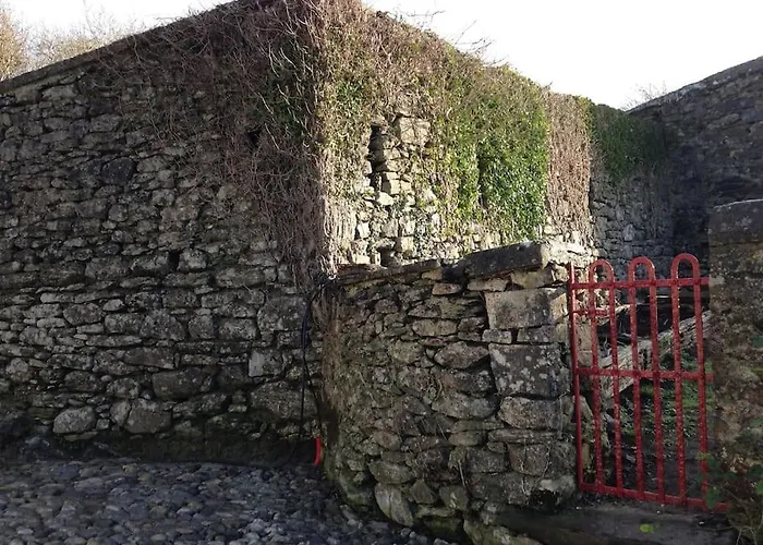 펜션 Fermoyle Carleys *