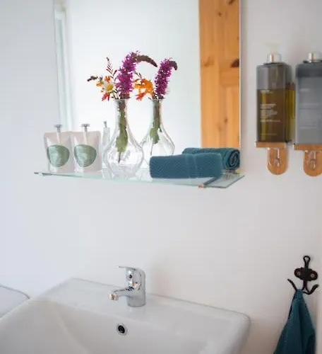 Fermoyle Carleys 펜션 *