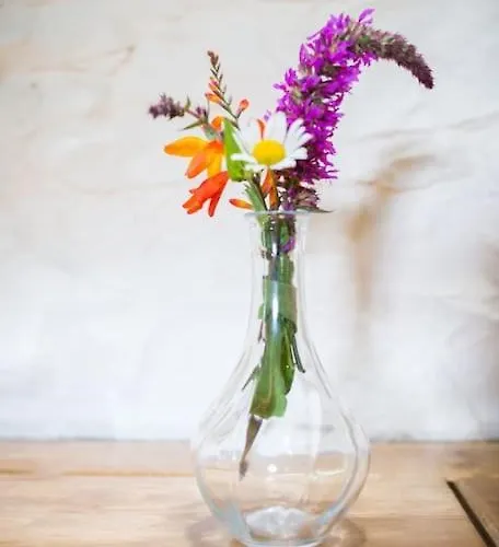 Fermoyle Carleys 펜션