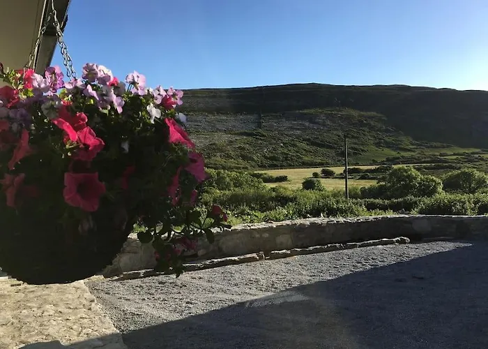 펜션 Fermoyle Carleys *