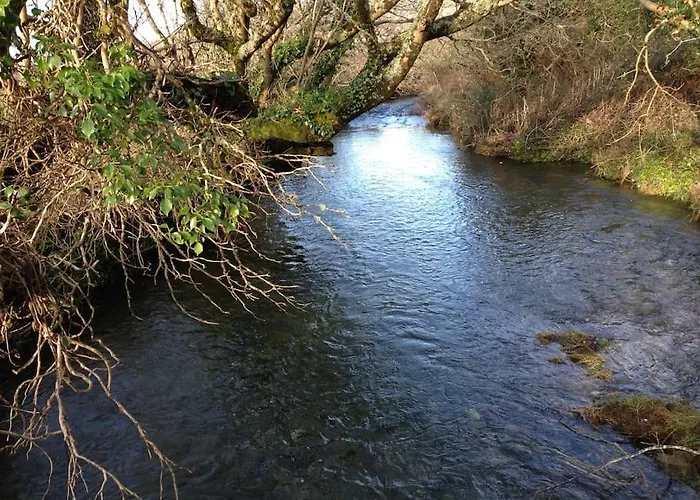 Fermoyle Carleys